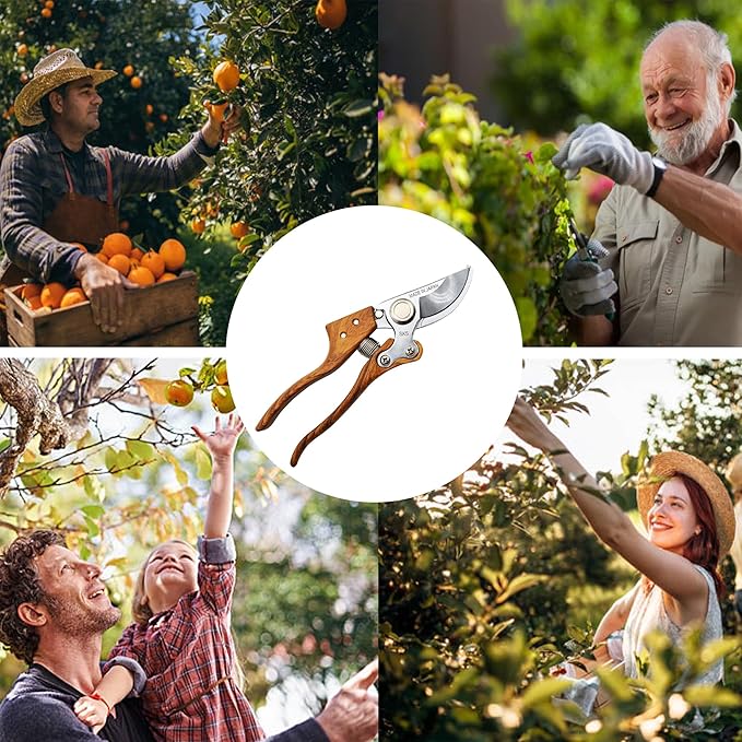 TONMA Bypass Pruning Shears [Made in Japan] 8 inches Professional Garden Shears, Japanese Secateurs Hand Pruner Hedge Clippers, Aluminum Alloy Handle