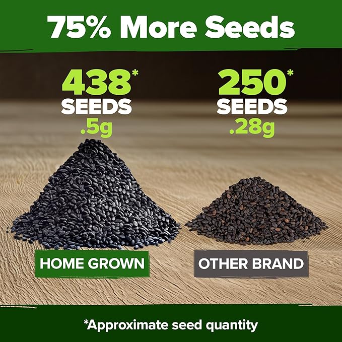 HOME GROWN Thai Basil Seeds Pack - 438 High Germination 𝗡𝗢𝗡-𝗚𝗠𝗢 𝗨𝗦𝗔 Heirloom Herb Seeds for Planting,Ideal for Growing Fresh Basil Planting Indoor or Outdoor(Ocimum basilicum var.thyrsiflora)