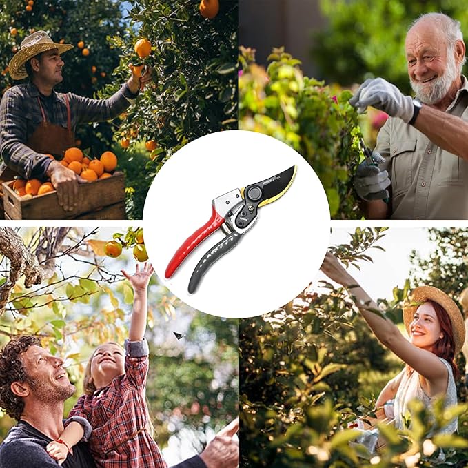 TONMA Bypass Pruning Shears [Made in Japan] 8 Inch Heavy Duty Garden Shears for Gardening, Professional Hand Pruners Garden Clippers with Japanese SK4 Steel Blades, Ergonomic Non-Slip Grip