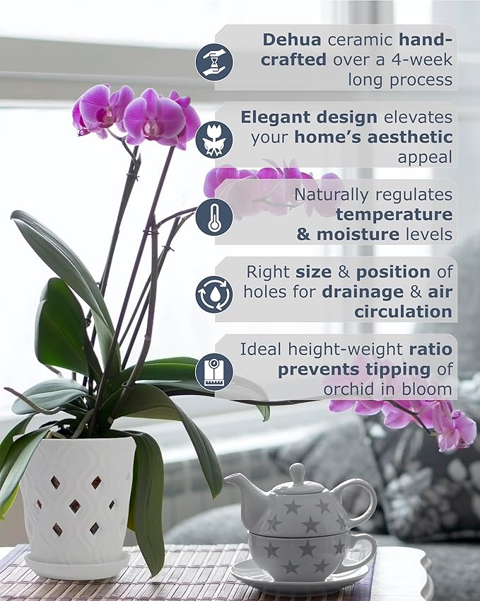 Whispering Winds Ceramic 5 x 6 Inch Orchid Pot with Holes & Saucer for Aeration and Drainage - Decorative Orchid Pots for Repotting, Prevent Over Watering & Root Rot (Carrara White)