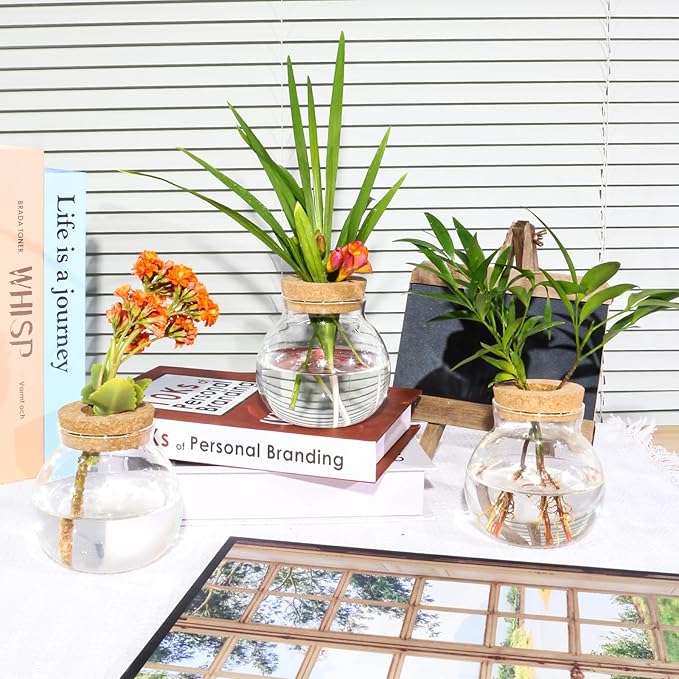 Plant Propagation Station,Hydroponic Terrarium Vase,Desktop Glass Planter Station,for Houses,Garden Decorations,ropagating Hydroponic Plants,Centerpiece Office,Home Garden Decor (6)