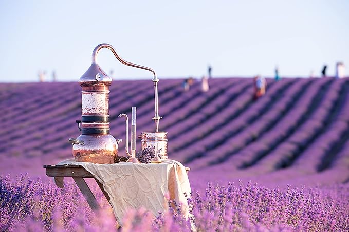 Lavender Tea 1LB (16Oz) 100% Certified Organic| Lavender Flowers Dried | Loose Lavender Tea| Perfect for Tea, Baking, Lemonade, DIY Beauty, Sachets & Fresh Fragrance | 100% Raw Albanian Harvest |