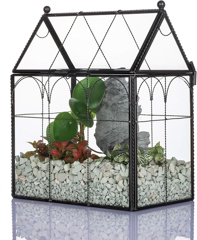 NCYP Black Glass Terrarium with Lid, Indoor Geometric Planter for Cacti, Air Plants, Succulents, Insect, Snail, House Shape Closed Box 7.5" x 4.9" x 9" (No Plant Included)