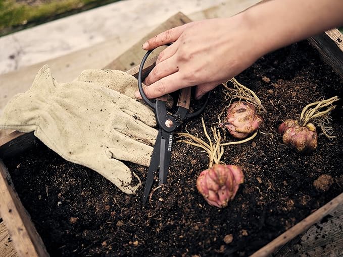Barebones Garden Scissors - Walnut Scissors - Garden Supplies and Indoor Plant Accessories - Plant Shears with Wide Handles - Comfortable Fit Hand Pruners (Large)