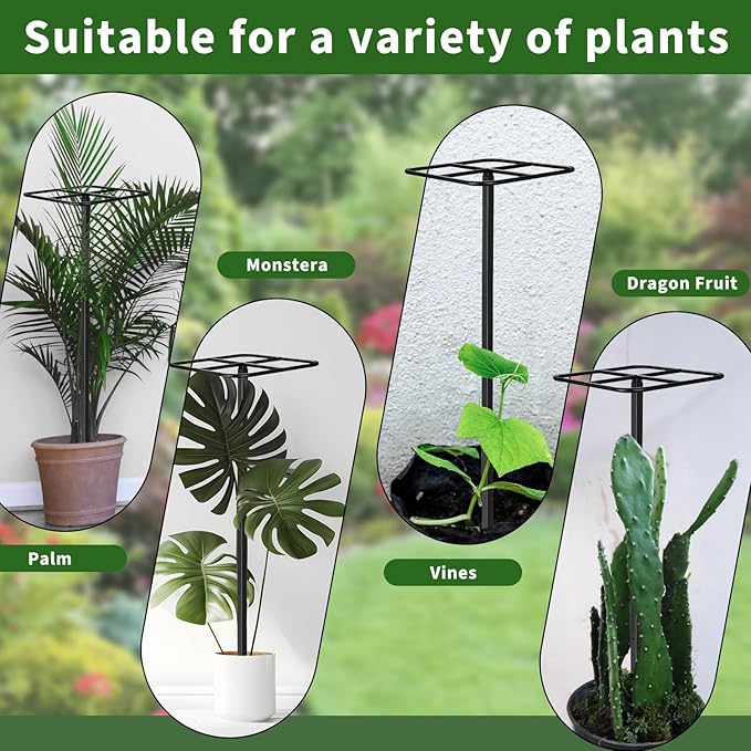 1 Pcs Adjustable Metal Dragon Fruit Plant Trellis 12" x 12" x 50" Durable Vertical Support Tower Plant Cage for Gardening Climbing Plants Trees Cactus Outdoor Garden, Installation Required