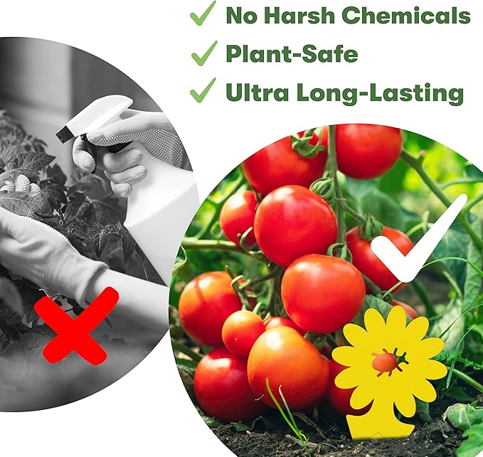 BugMD Sticky Bug Traps (12 Pack) - Indoor Fruit Fly Killer, Fungus Gnat Killer, Plant sticky traps for Bugs, Yellow Sticky Fly Traps for Plants, Gnat for Plants, Odorless