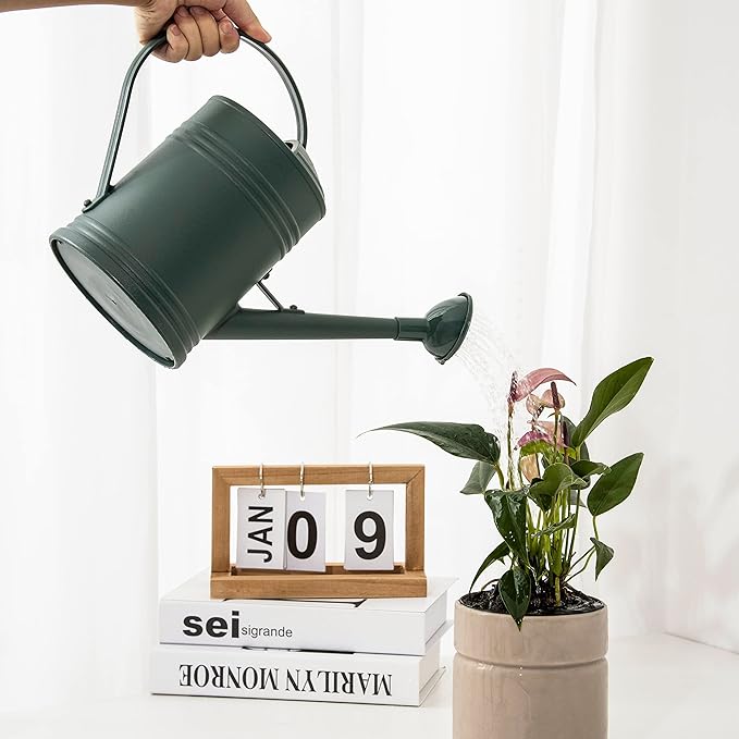 Plastic Indoor Watering Can with Sprinkler Head - 68 oz, 1/2 Gallon