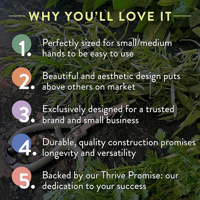 Modern Sprout Hand Pruners & Shears Set - Lightweight Gardening Tools W/Easy Lock - Sharp Carbon Steel Blades -Rust Resistant Scissors for Herbs, Flowers - Reusable Holster - Ocean