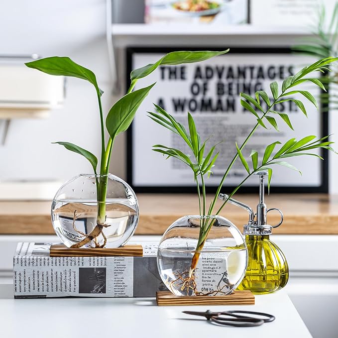 Glass Planter Propagation Station with Wooden Base - Clear Oblate Hydroponic Vase, Decorative Desktop Flower Vase for Home, Office, Windowsill - Gift for Plant Lovers (6)