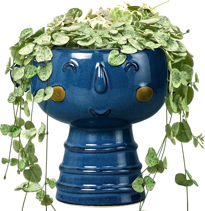 Face Planter Pot Head 7 Inch - Cute Ceramic Head Planter for Indoor Outdoor Plants Unique Flower Pot with Drainage Hole Gift Ideas for Christmas Blue