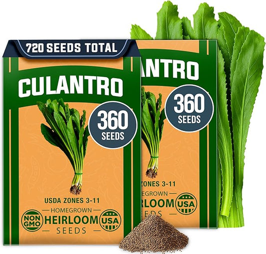 HOME GROWN Culantro Seeds - 720+ 𝗡𝗢𝗡-𝗚𝗠𝗢, 𝗨𝗦𝗔-𝗦𝗢𝗨𝗥𝗖𝗘𝗗 Heirloom Herb Seeds for Planting, Slow-Bolting, Flavorful Cilantro Alternative, Great for Outdoor Herb Gardens (Eryngium foetidum)