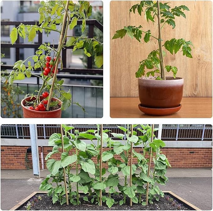 1" D 8 Feet Bamboo Stakes 50 Pack, Thicker Heavy-Duty Plant Stakes, Natural Garden Stakes for Bean, Tomato, Bean, Flowers,Trees Potted and Climbing Plant Support