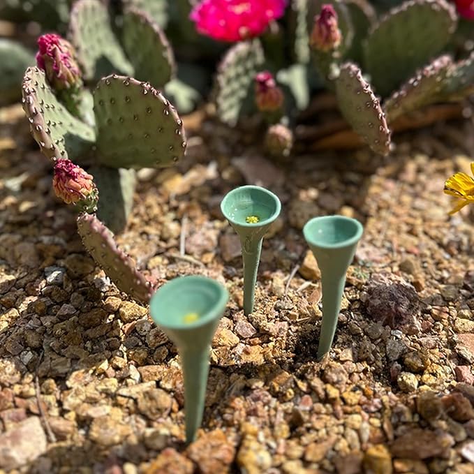 3 Pack, Bee Watering Station, Butterfly Feeder, Bee Feeder, Garden Decor, Bee Decor, Outdoor Garden Decor, Plastic Free, Handmade from Porcelain (3, Cactus)