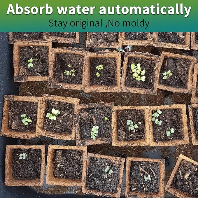 TCBWFY Biodegradable Seedling Trays, 20 Pack, 320 Cells, Ideal for Indoor and Outdoor Planting, Mint, Lavender, Rose