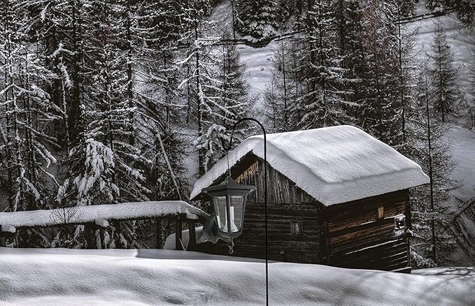 Ashman Shepherds Hook 10 Pack Black, 35 Inches Tall, Made of Premium Metal for Hanging Solar Light, Bird Feeders, Mason Jars, Garden Stake and Wedding Décor.