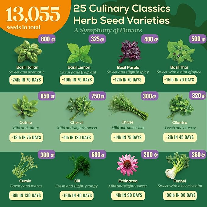25 Culinary Classic Herb Seeds Variety Pack - 13,055+ Non-GMO Heirloom Herbs Seeds for Planting Indoor & Outdoor: Lavender, Rosemary, Dill, Mint, Catnip, Basil - Gardening Seeds Packets