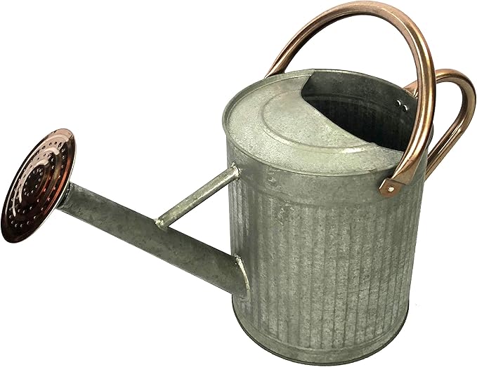 (W3006ZC-GCN-L7) Metal Watering Can - Modern Indoor & Outdoor Watering Pot with Handles for Flowers/Plants (7 Liter, Antique)