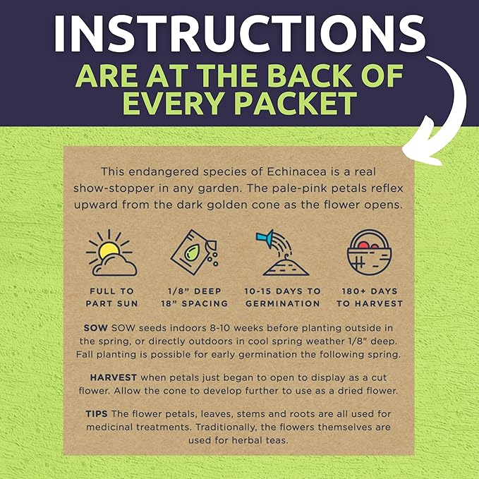 Organic Herb Seeds Variety Pack - 35 Individual Packs - 2025 Season - Basil, Cilantro, Dill, Thyme, Parsley and More! for Indoor & Outdoor Planting (Non-GMO, Certified Organic)