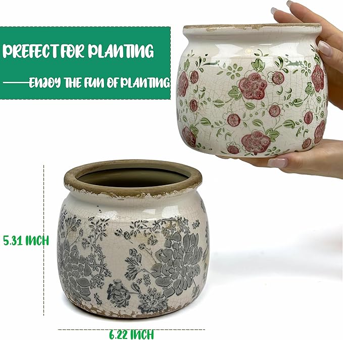 Vintage Grey Ceramic Ice Crack Flower Pot with Drainage Holes, Country Rustic Planters for Indoor and Outdoor,Tuscan Decor,Home,Living Room, Garden Decor, Gardening Gift