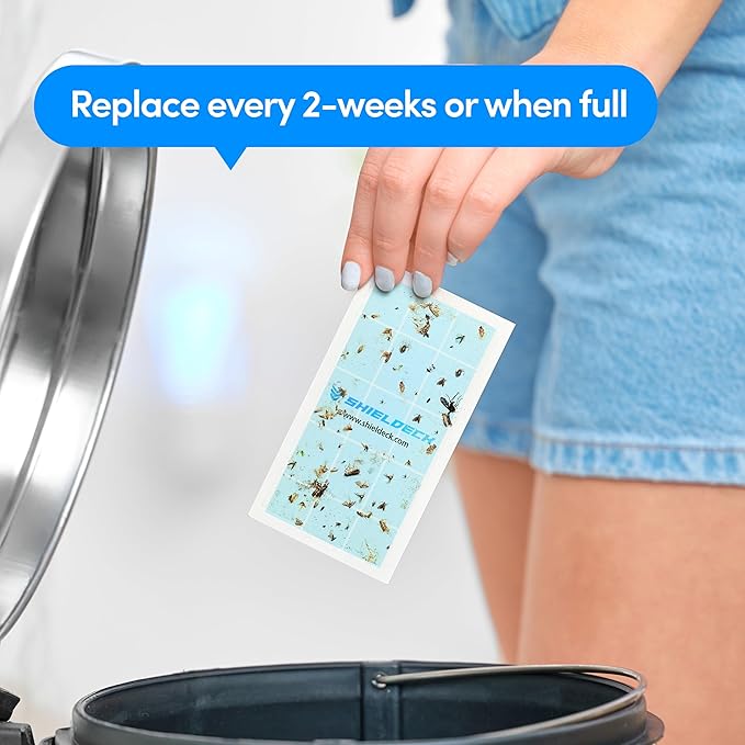 Flying Insect Trap Plug in - Indoor Fruit Fly, Gnat, and Mosquito Trap - Bug Catcher Traps with UV Light for House Indoors (1 Device + 5 Refills) (Refills)