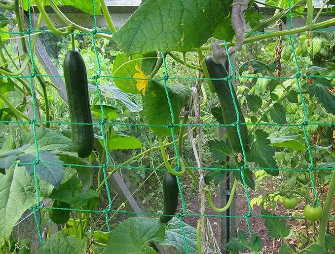 Trellis Netting for Climbing Plants - Heavy Duty Garden Trellis Netting for Cucumber, Vine, Fruits & Vegetables Tomato Plants Trellis Net, Climbing Vining Plants (2-Pack 32.8' x 6.6'Ft)