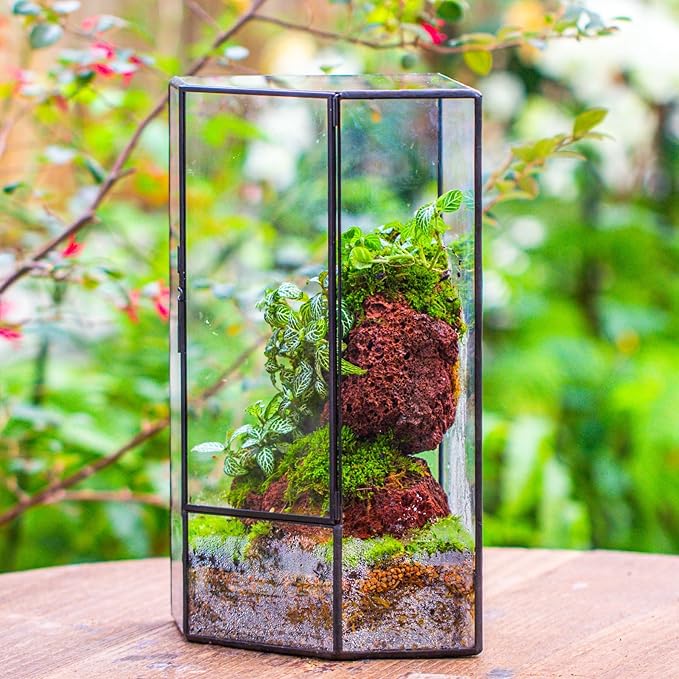 NCYP Wall Corner Geometric Glass Terrarium, Closed Front Opening Door Container Planter for Succulents, Small Plants - Black, Indoor Decor, Tabletop Landscape, 6.1" x 6.1" x 11.8" (Terrarium Only)