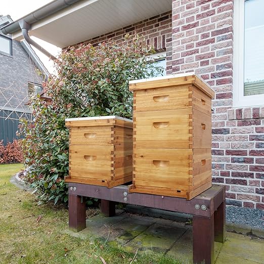 VINGLI 10-Frame Bee Hive, Wax Coated Beehive Starter Kit with Frames & Beeswax Coated Foundation Sheets (3 Layer)