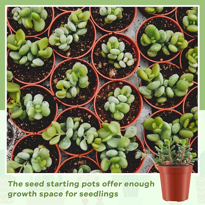 Yaomiao 200 Pcs 2 Inch Red Mini Plastic Plant Pot Nursery Seedling Pots Seed Starter with Drainage Holes for Indoor Outdoor Garden Succulent Plants Cuttings Transplanting