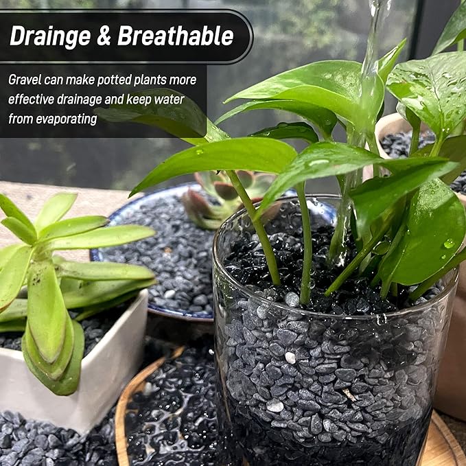 45lb Black Cactus Pea Gravel Rocks,1/4 Inch Pebbles for Indoor Plants, Natural Succulent Rock and River Rocks Decorative for Aquariums, Vases, Outdoor Gardening, Top Dressing for Potted Plants