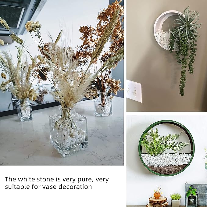 45lb White Rocks for Plants,Potting,Succulents Aquarium Fish Tank Garden Vases Decorative Pebbles Gravel Rocks Stones