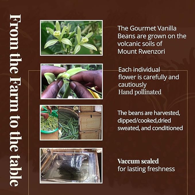 1 LB Bulk Vanilla Beans Grade A + | Vanilla Bean Pods For Making Extract | Non-GMO | Perfect For Baking, Cooking, & Desserts | 6-8 Inches. NYVanilla.