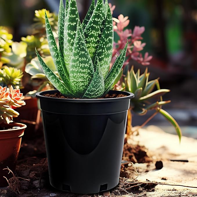 1.5 Gallon Plastic Nursery Pots, 7.5 Inch Round Plant Pots with Drainage Holes, 15 Pack Flower Pots for Outdoor Indoor Plants, Flowers, Gardening Gifts for Women, Black