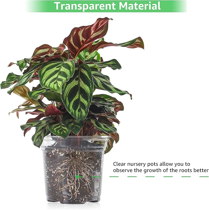 Bonviee 36 Packs 3.5/4/5 Inch Clear Nursery Pots, Transparent Plastic Planter with Drainage Holes, Seed Starting Pot Flower Plant Container -Clear