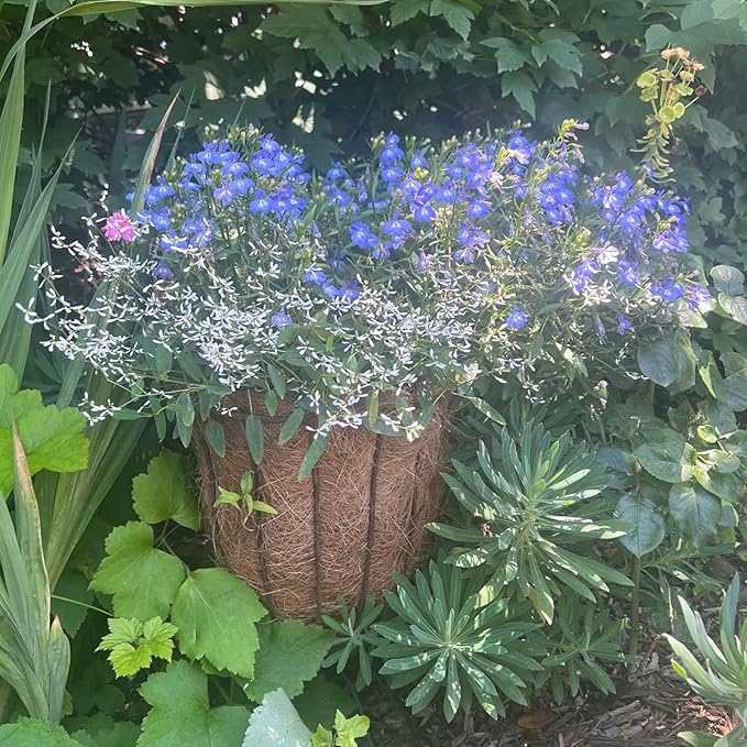 MOUYAT 24 x 79 Inch Large Coco Fiber Roll, Wall Basket Planter Liner Coconut Fiber Mat Coir Liner Sheet for Hanging Baskets, Flowerpot, Garden Decor, Brown