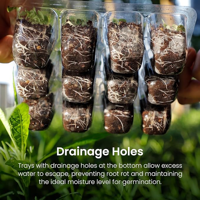 MIXC Seed Starter Kit with Grow Light, Seedling Trays Mini Propagator Plant Grow Kit with Humidity Vented Domes and Base for Seeds Starting Greenhouse