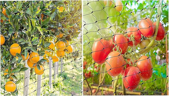 CandyHome Bird Netting for Garden, 13Ft x 33Ft Reusable Garden Netting Plants Barrier, Plant Mesh Net Protect Fruit Tree Seedlings Plants from Birds, Cicadas, Rodents, Black