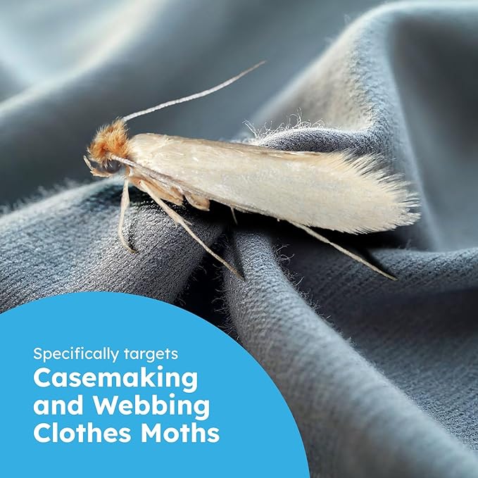 Clothes & Pantry Moth Traps (6 Count) – Sticky Glue Pheromone-Based Repellent for Closets, Cabinets & Wardrobes – Non-Toxic - White