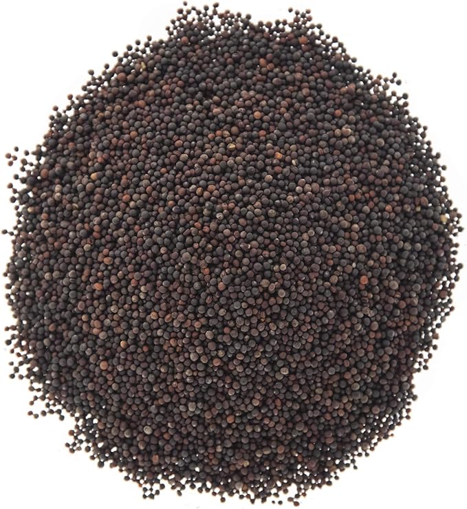 Broccoli Seeds for Sprouting & Microgreens | Waltham 29 Variety | Non GMO & Heirloom Seeds | Bulk 1 LB (16 oz) Resealable Bag | Rainbow Heirloom Seed Co.