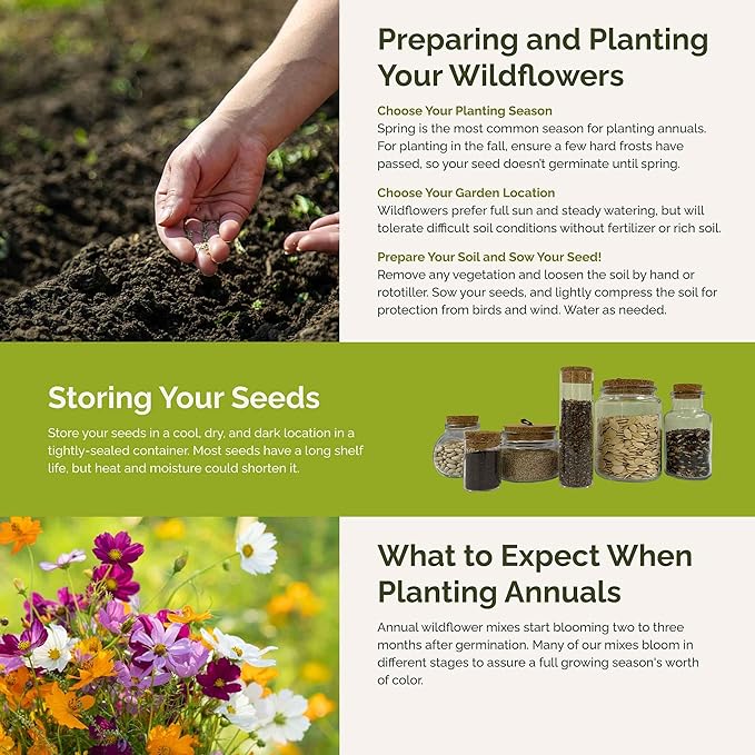 Eden Brothers All Annual Wildflower Mixed Seeds for Planting, 50 lb, 24,000,000+ Seeds with Sunflower, Indian Blanket | Attracts Pollinators, Plant in Spring or Fall, Zones 3, 4, 5, 6, 7, 8, 9, 10