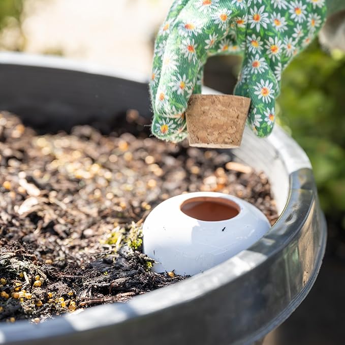 Plant Self Watering Globes - Terracotta Watering Spikes - Slow Release Olla Pots - Holds 16 oz - Drip Irrigiation Olla System
