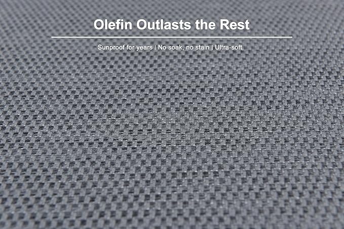 PURPLE LEAF Outdoor 2-Person Chaise Lounge with Cushions Patio Sun Chair Adjustable Backrest Reclining Chair for Poolside Moon Basalt