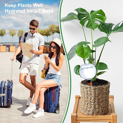 6 Pack Plant Watering Globes 17oz Self Watering Planter Insert Indoor/Outdoor Plant Watering Devices for Automatic Drip Irrigation