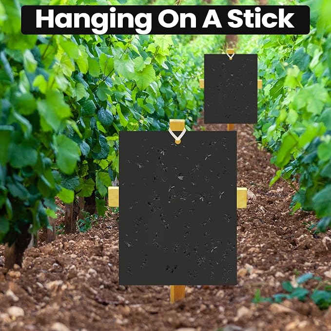 Qualirey 100 Pcs 6 x 8 Inch Sticky Traps for Plant Double Sided Sticky Trap for Gnats with Twist Ties Fly Traps for Fruit Insect Fungus Bugs Indoor Outdoor (Black)