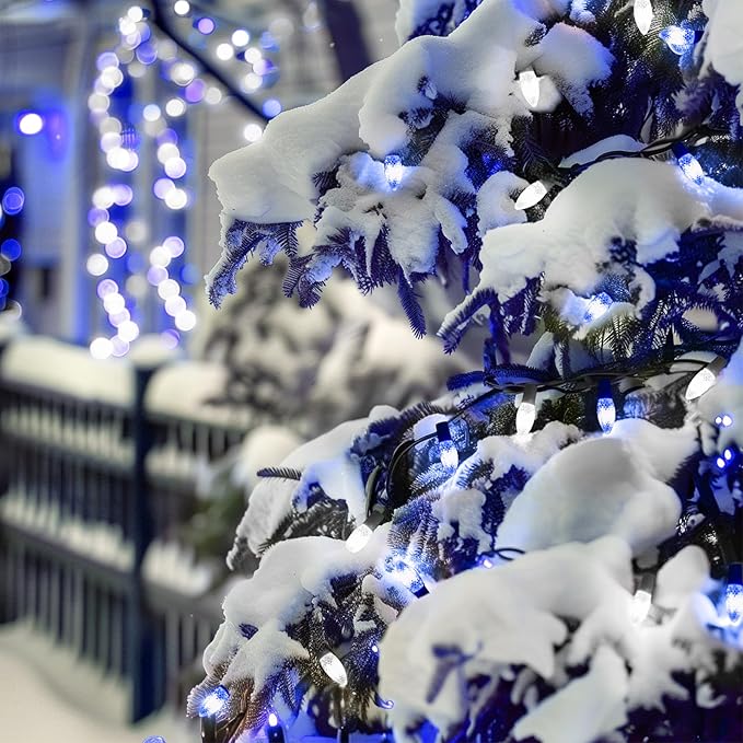 C9 LED Christmas Lights Outdoor with stakes, 25.7ft 20 LED Strawberry String Lights, Connectable Shatterproof Pathway Lights Marker for Path, Lane, Patio, Xmas Holiday Decorations, Blue and White