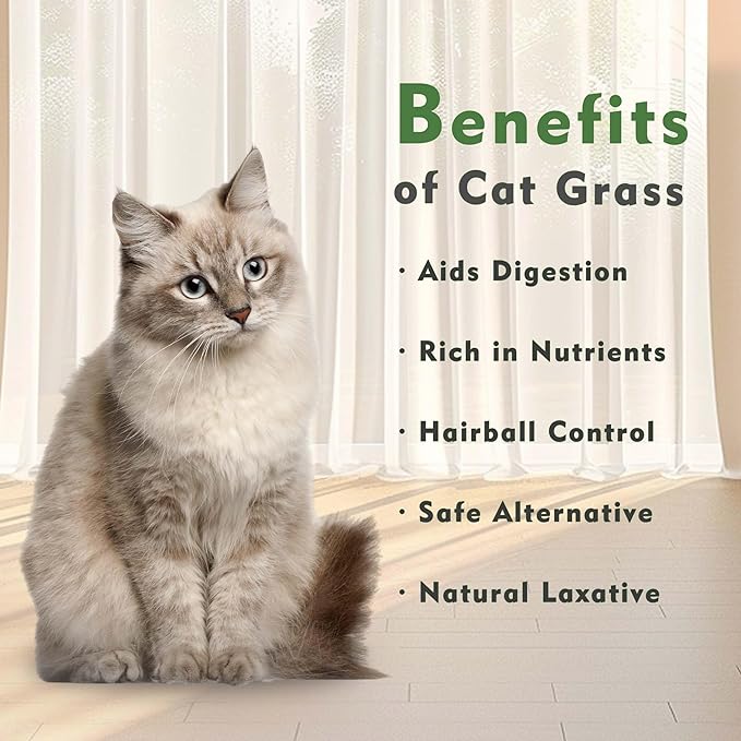 The Environet Organic Cat Grass for Indoor Cats, Organic Cat Grass Kit with Seeds Mix and Metal Iron Pots, Hairball Control, Digestion Support, Ideal Gift for Cat Lovers