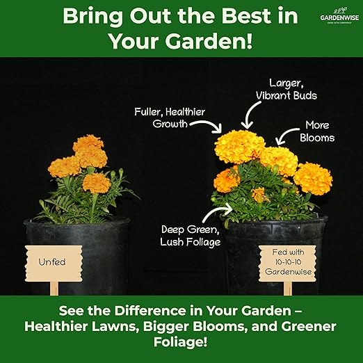 10-10-10 All-Purpose Professional Fertilizer Plant Food for Indoor/Outdoor Gardening; Premium Shrub, Tree, Flower, Vegetable and Lawn Fertilizer; Quick-Release Nitrogen (10 QUARTS)