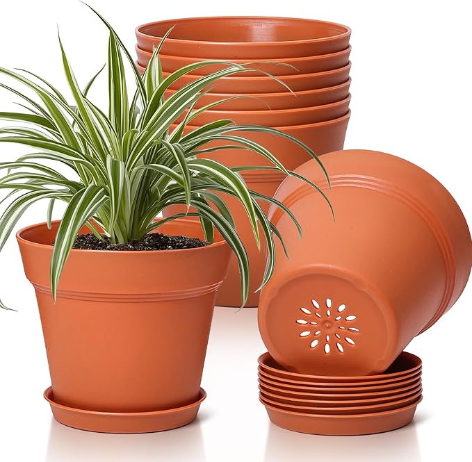 T4U 6 Inch Plant Pot 8-Pack, Plastic Planter with Drainage Hole and Saucer, Decorative Nursery Pots Bulk for African Violet, Snake Plant, Succulent, Herb and Plants Indoor (8 Pcs 6" Pots)