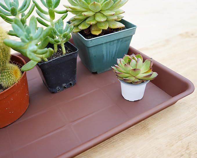 Rectangle Plant Tray, Plant Drip Tray, Plant Pot Saucers, Plant Germination Trays, Plant Saucers, 11'' x 9'' x 1.2'' (2 pack), Chocolate