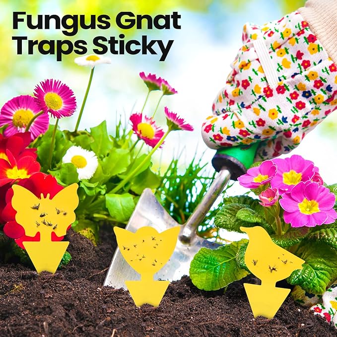 200 Sheets Fruit Fly Sticky Traps for Fruit Fly Gnat Trap for House Indoors Sticky Traps Catcher for Gnats Fungus Gnats Mosquito Catcher for Kitchen Outdoor Plants(Yellow)