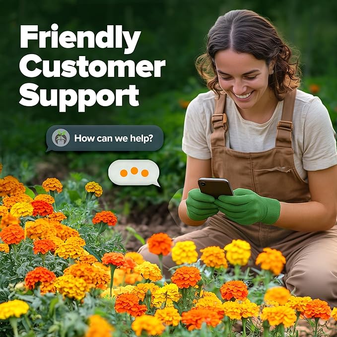 HOME GROWN 𝗨𝗦𝗔 𝗣𝗥𝗘𝗠𝗜𝗨𝗠 Petite French Marigold Seeds 329+ Flower Seeds for Planting Outdoors Easy to Grow Companion Plant & Quick Blooming Pollinator Heirloom Wildflower Seed (Tagetes patula)